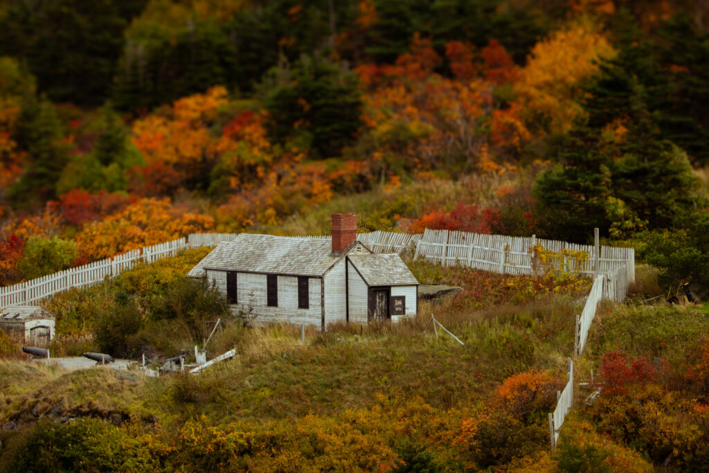 A white rundown house with a falling apart white picket fence surrounding it looks small surrounded by bright autumn foliage.