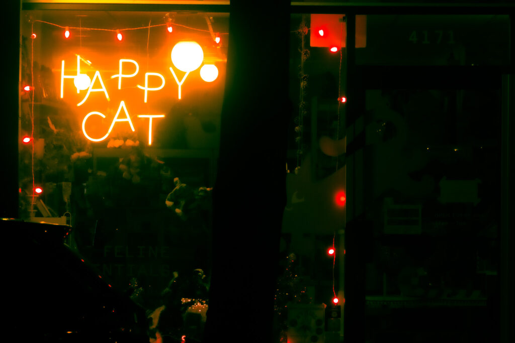 A storefront at night with orange lights around the edge of the window and orange neon lights that read "Happy Cat".