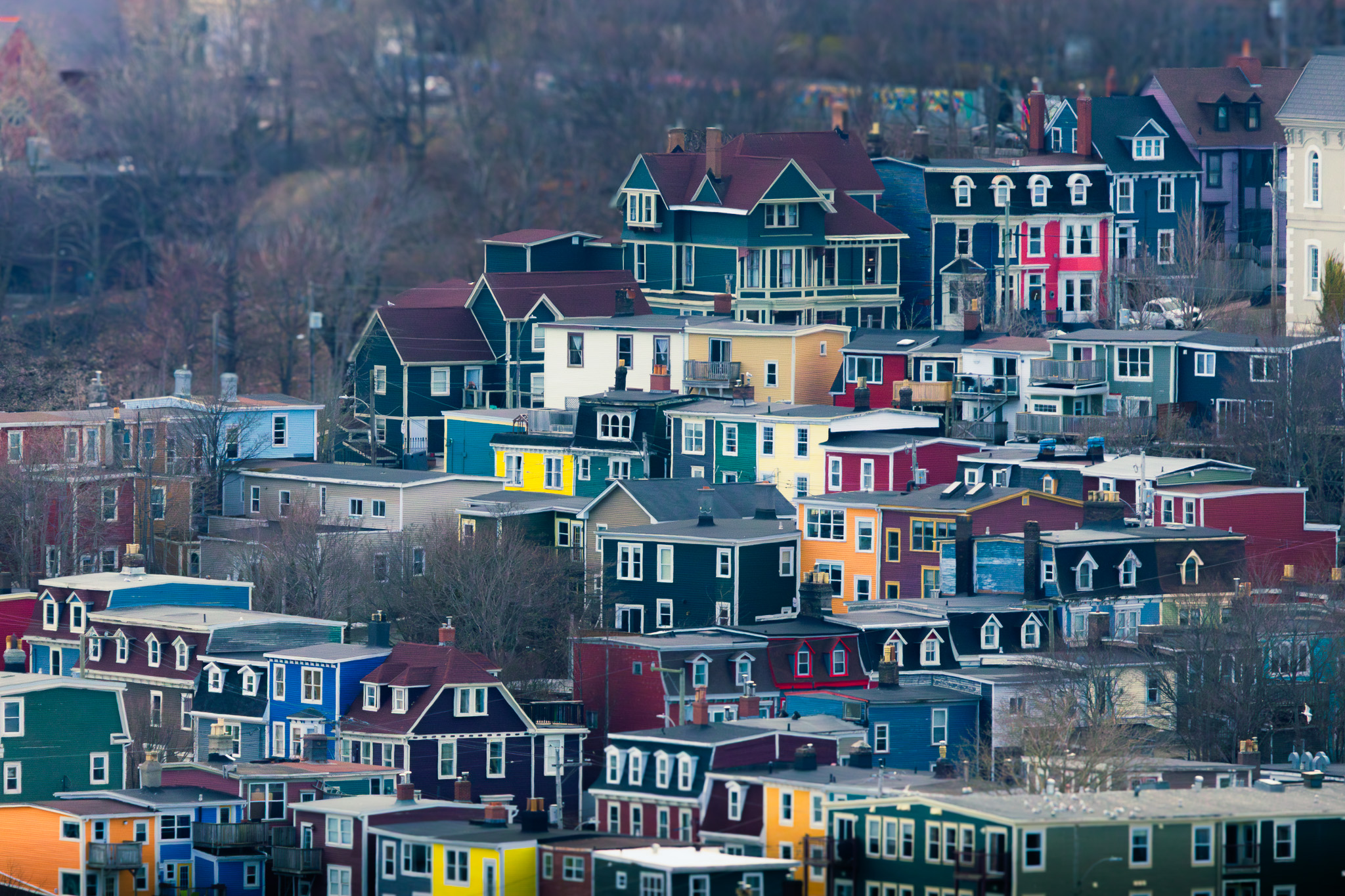The bright colourful houses of St. John's are layered up a diagonal slope in this photo. The trees surrounding them are still barren from the winter.