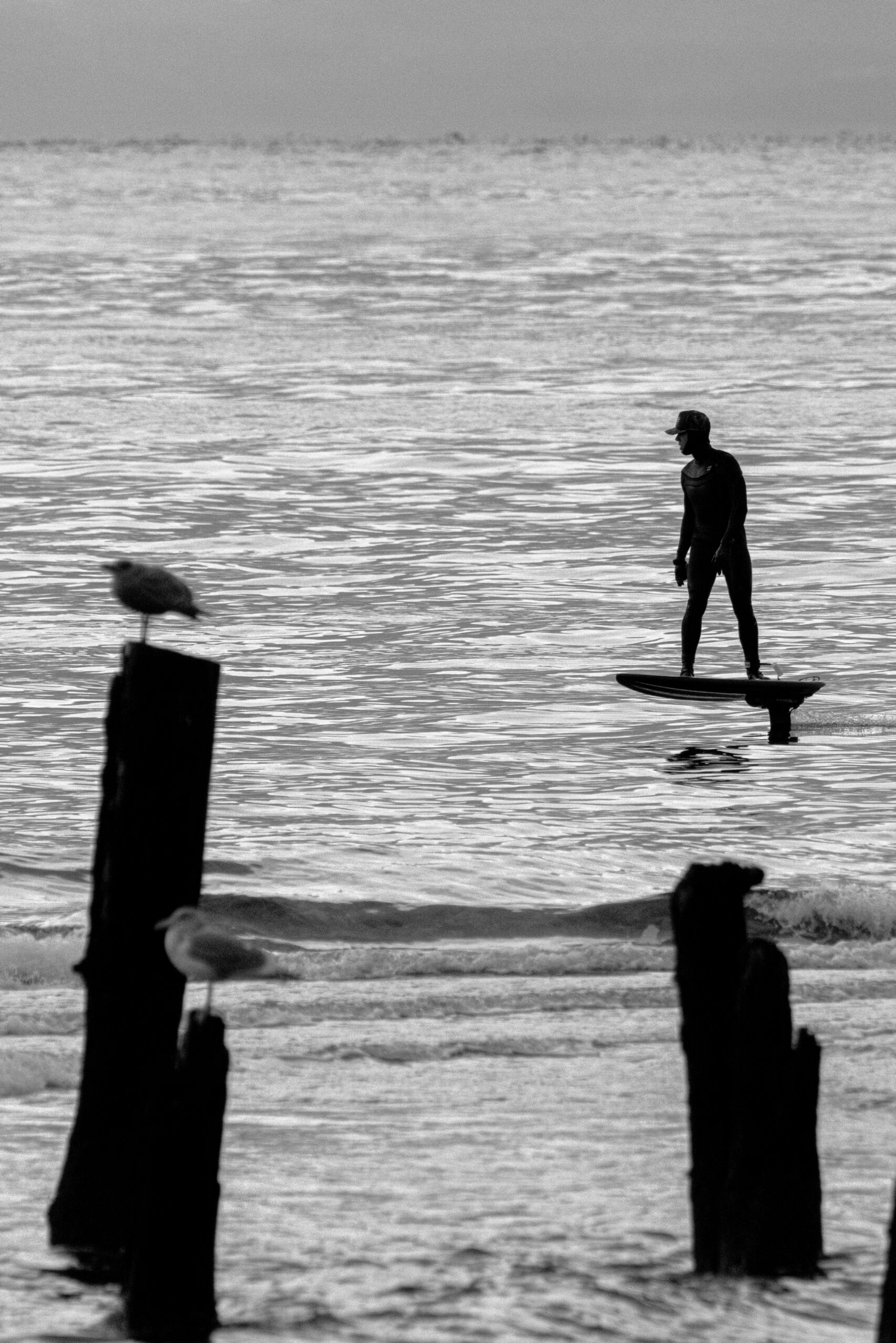 A surfer on a hoverboard in calm waves stands in the same direction as a couple seagulls perched on pillars in the foreground in this black and white photo.